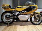 Yamaha TZ, Motoren, Particulier