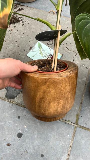 Houten pot D&M deco beschikbaar voor biedingen