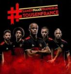 stickers Panini Carrefour Belgian red devils Frankrijk, Enlèvement ou Envoi