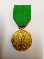 Médaille, Collections, Armée de terre, Enlèvement ou Envoi