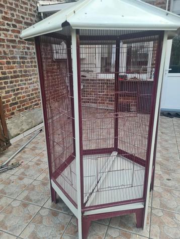 Volière hexagonale beschikbaar voor biedingen