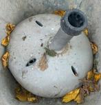 Gratis parasolvoet, Ophalen, Gebruikt, 2 tot 3 meter, Parasolvoet