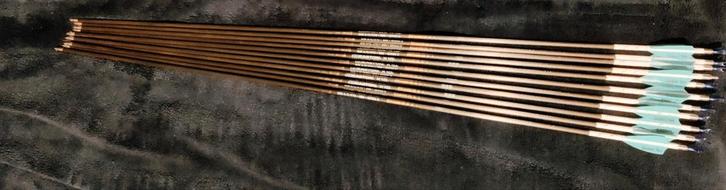 Protour 380 c2, Sports & Fitness, Tir à l'arc, Flèches, Enlèvement