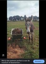 Ezel en paarden mest, Ophalen, Mest