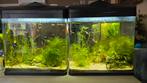 Complete aquariq, Ophalen, Zo goed als nieuw