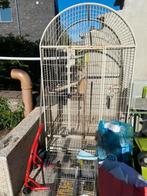 Grande cage pour perroquet, Dieren en Toebehoren, Ophalen of Verzenden, Zo goed als nieuw, Hout