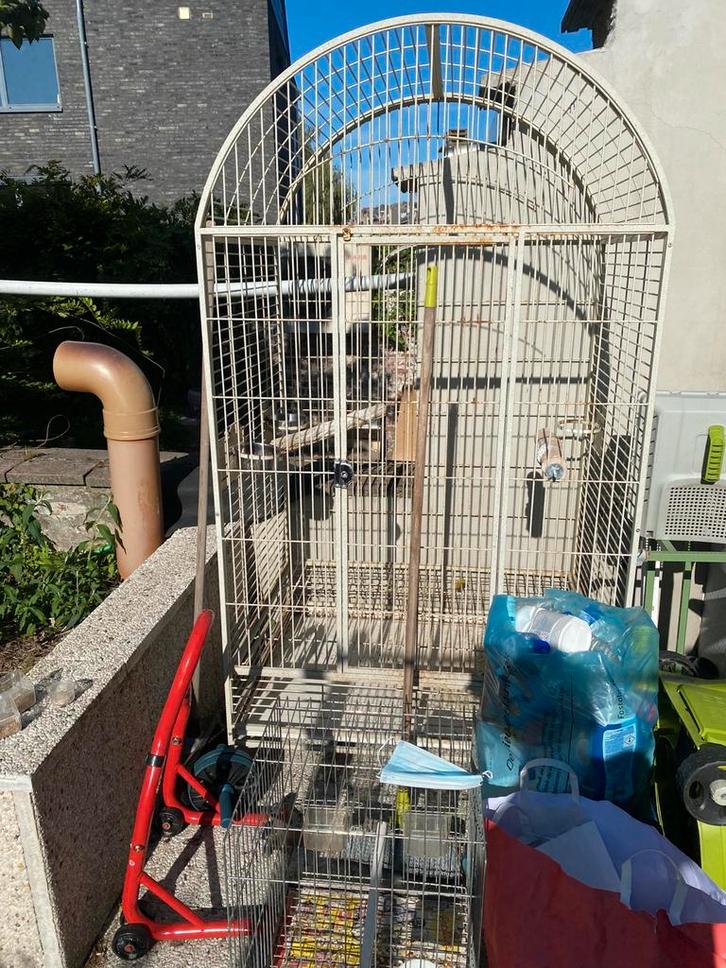 Grande cage pour perroquet, Dieren en Toebehoren, Vogels | Hokken en Kooien, Zo goed als nieuw, Hout, Ophalen of Verzenden