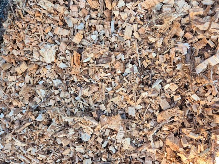 Verwijderen van bomen, Tuin en Terras, Planten | Struiken en Hagen, Ophalen of Verzenden