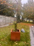 Bloembak in cortenstaal, Tuin en Terras, Ophalen
