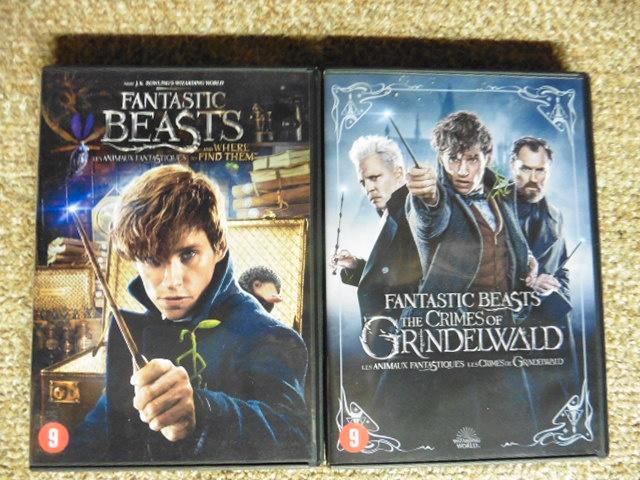 Fantastic Beasts 1 + 2 (Pakketprijs) 6€, Cd's en Dvd's, Dvd's | Science Fiction en Fantasy, Zo goed als nieuw, Fantasy, Ophalen of Verzenden