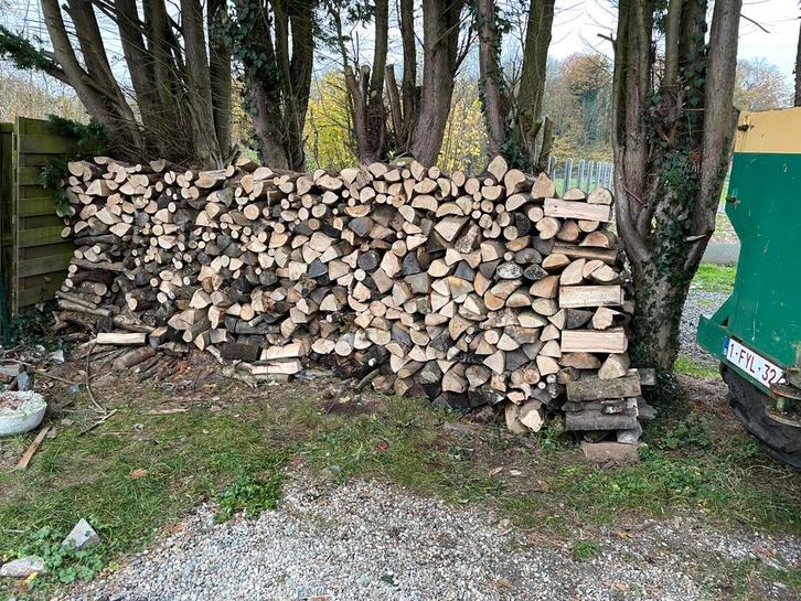 Bois de chauffage avec livraison gratuite !, Jardin & Terrasse, Bois de chauffage, Bûches, Frêne, Enlèvement