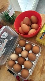 Eieren, Dieren en Toebehoren, Pluimvee | Toebehoren, Overige typen, Ophalen of Verzenden, Zo goed als nieuw