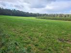 weide 2 ha ter beschikking, Dieren en Toebehoren, Stalling en Weidegang, Weidegang, 4 paarden of pony's of meer