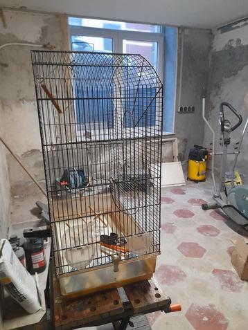 Vogel kooi, Dieren en Toebehoren, Ophalen, Gebruikt, Metaal, Volière