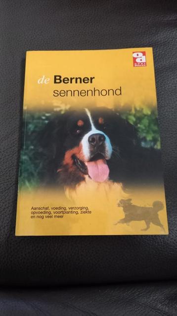 Berner Sennenhond, Enlèvement ou Envoi, Comme neuf