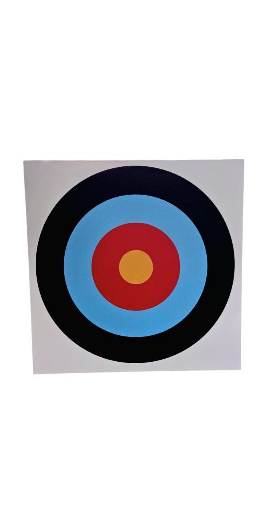 Schietschijf | 70 x 70 cm | Honinggraat karton | 16 mm dikte, Sport en Fitness, Overige Sport en Fitness, Nieuw, Ophalen of Verzenden