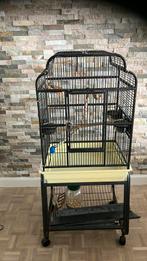Grote stevige kooi, Ophalen, Zo goed als nieuw, Metaal, Vogelkooi