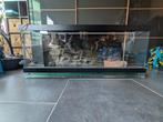 Terrarium 120x50x50, Dieren en Toebehoren, Ophalen, Gebruikt, Terrarium of Paludarium