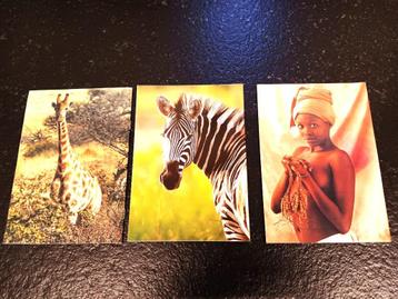 3 Boekjes met mooie Afrikaanse verhalen beschikbaar voor biedingen