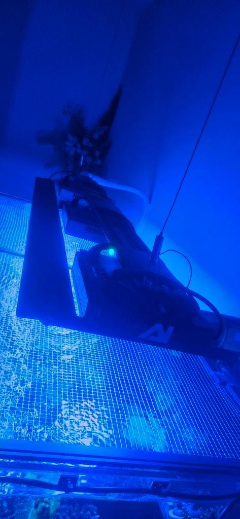 3x ecotech radion xr15 pro g5 1x blade grow, Dieren en Toebehoren, Vissen | Aquaria en Toebehoren, Zo goed als nieuw, Verlichting of Verwarming