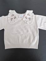 Truitje maat 80, Kinderen en Baby's, Babykleding | Maat 80, Ophalen of Verzenden
