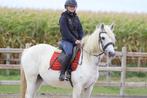 lieve en betrouwbare Connemara merrie, Dieren en Toebehoren, Paarden, Merrie