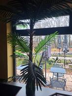 Grand palmier artificiel env. 165 cm, Enlèvement, Utilisé