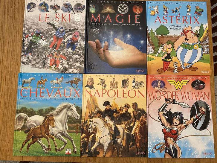 livre "la grande imagerie", Livres, Livres pour enfants | Jeunesse | 10 à 12 ans, Comme neuf, Non-fiction, Enlèvement