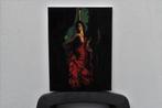 Spaanse flamencodanser, door joky kamo - Schilderij, Ophalen