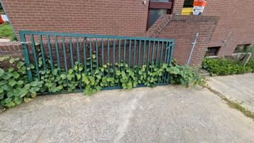 Tuinpoort hek 3 meter  beschikbaar voor biedingen