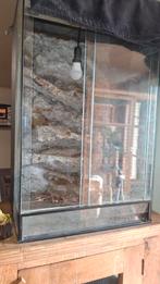 Terrarium GRATUIT, Enlèvement ou Envoi