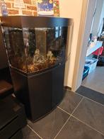 Aquarium juwel 180L, Dieren en Toebehoren, Ophalen, Gebruikt, Leeg aquarium