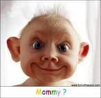 man zoekt vrouw, Contacten en Berichten