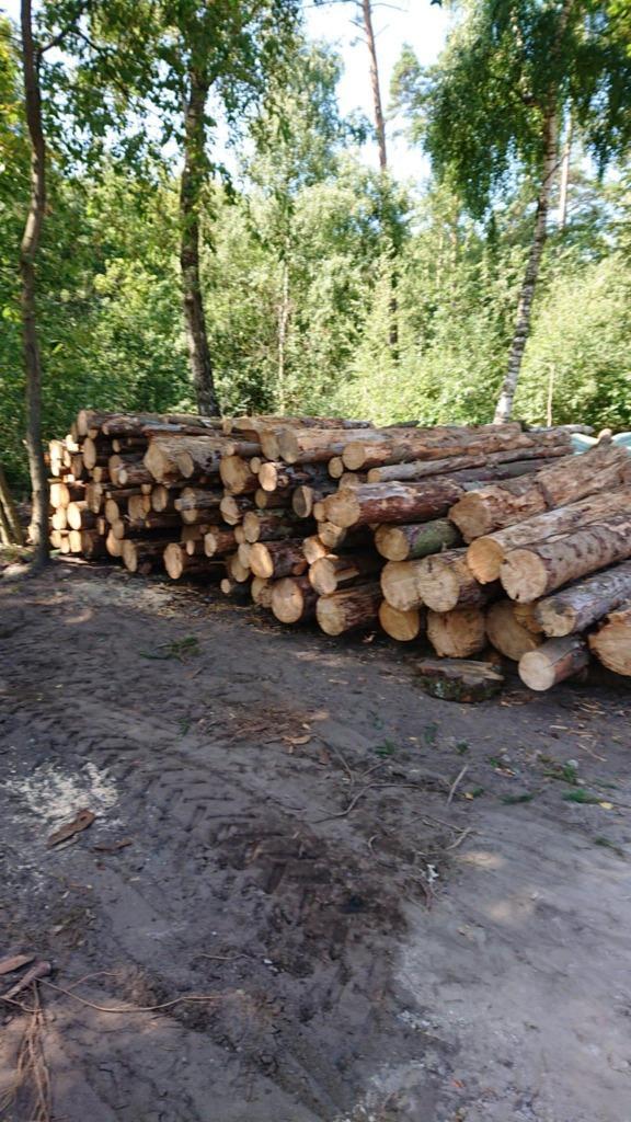 brandhout, Tuin en Terras, Brandhout, Stammen, Ophalen