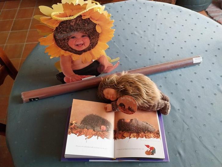 Anne Geddes, vintage setje, Verzamelen, Beren en Cherished Teddies, Nieuw, Ophalen of Verzenden