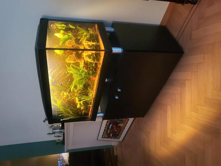 Cayman Aquarium tekoop, Dieren en Toebehoren, Vissen | Aquaria en Toebehoren, Gebruikt, Leeg aquarium, Ophalen