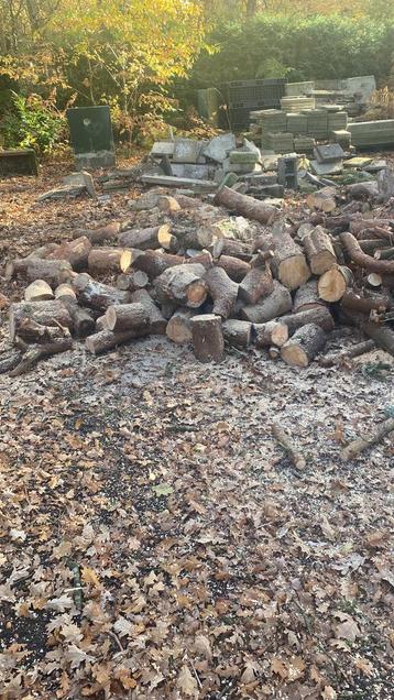 Brandhout beschikbaar voor biedingen