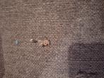 Navelpiercing, Handtassen en Accessoires, Piercings, Ophalen of Verzenden, Zo goed als nieuw, Navelpiercing