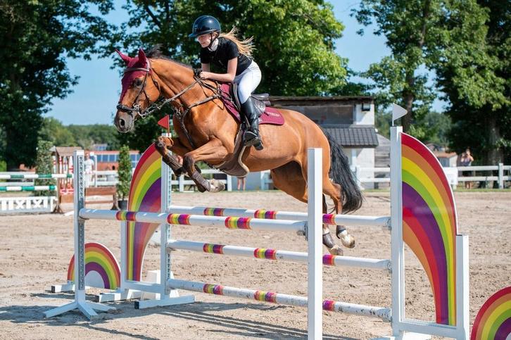 Springruiter aangeboden, Dieren en Toebehoren, Paarden