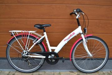 Golden Lion wave. 26 inch. Topstaat, 100% perfect. Npr 400 € beschikbaar voor biedingen
