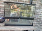 Terrarium en toebehoren, Ophalen of Verzenden, Gebruikt, Terrarium of Paludarium