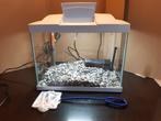 aquarium Superfish Startkit 20 Goldfish blanc, Enlèvement, Utilisé, Aquarium vide