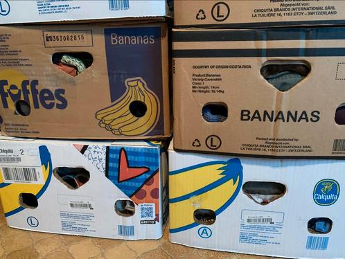 4 bananendozen met kleding, Kleding | Dames, Overige Dameskleding, Gedragen, Ophalen of Verzenden