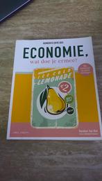 Karolien Van Riel - Economie, wat doe je ermee?, Boeken, Ophalen of Verzenden, Karolien Van Riel; Valentijn Brasseur
