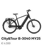 elektrische fiets B30 40, Fietsen en Brommers, Ophalen, Zo goed als nieuw, Overige merken