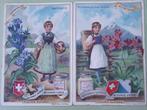 2 LIEBIG cards Sang. 448 :FLEURS ALPINES / 1896, Natuur, Verzenden, Zo goed als nieuw, Voor 1940