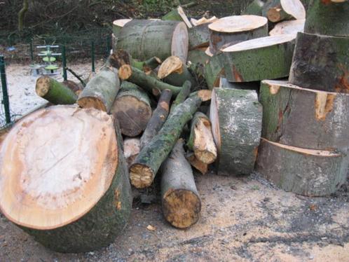 BEUK Brandhout, Jardin & Terrasse, Bois de chauffage, Troncs d'arbres, Hêtre, Enlèvement