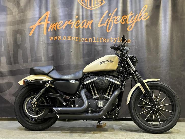 Harley-Davidson Chopper Sportster 883 Iron XL883N (bj 2015), Motoren, Motoren | Harley-Davidson, Bedrijf, Overig, meer dan 35 kW