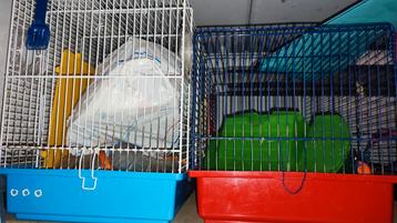 Ensemble de cages et accessoires pour hamster 