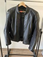 Veste Dainese full cuir et dorsale, Motos, Hommes, Dainese, Manteau | cuir, Seconde main